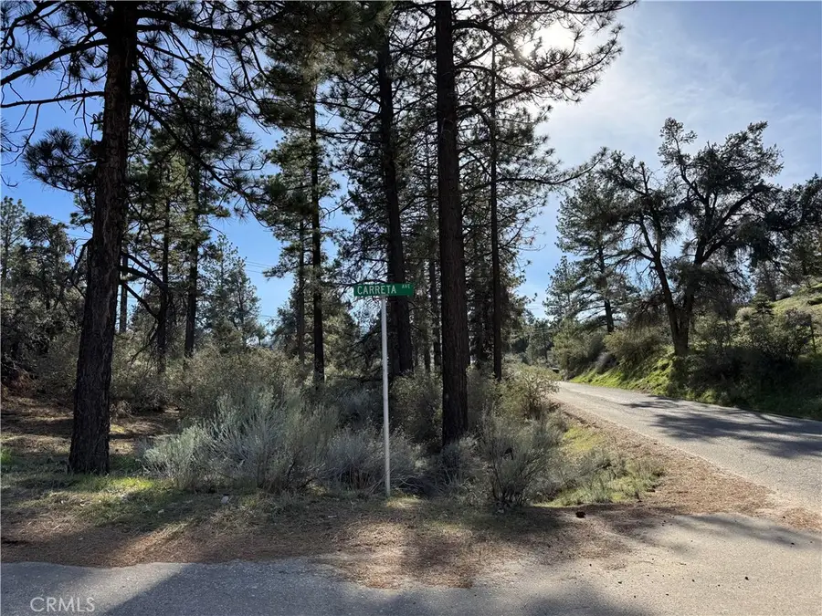 0 Carreta, Frazier Park, CA 93225 - #3