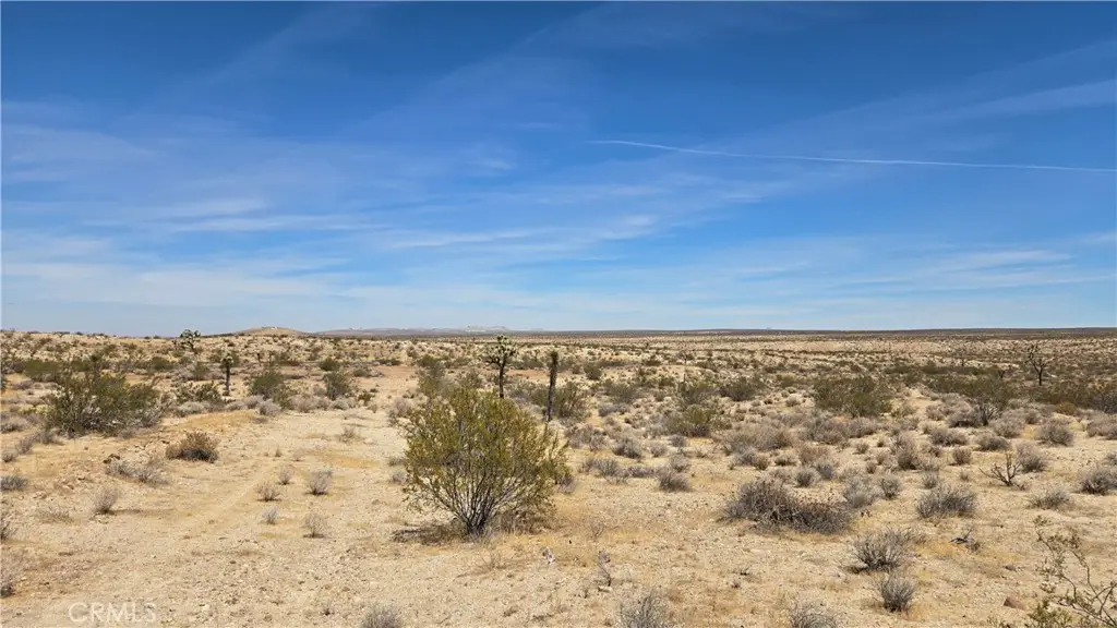 0 Vicinity Avenue A10 & 245th St E, Lancaster, CA 93535 - #1