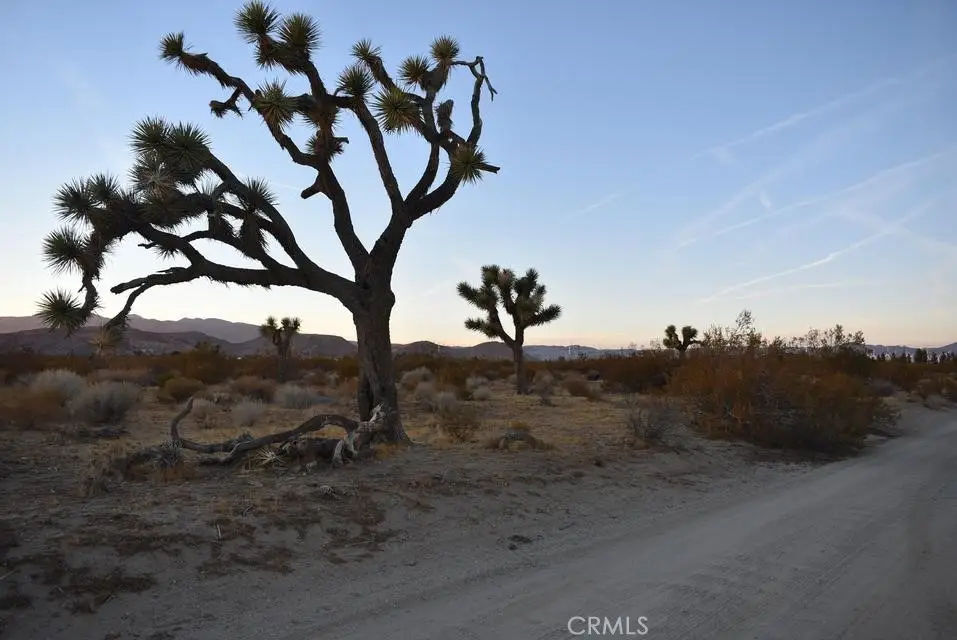6000 W Backus Road, Mojave, CA 93501 - #1