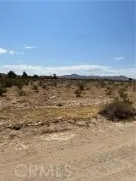 0 Ne Ledbiry, Oro Grande, CA 92368 - #1