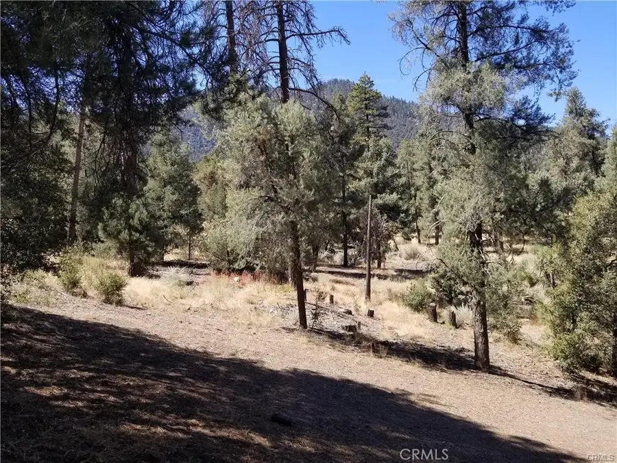 1912 Ironwood Drive, Pine Mountain Club, CA 93222 - #3