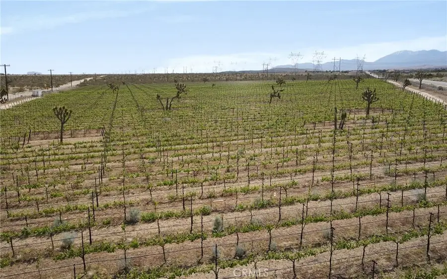 0 Ft Tejon Vic 82nd St E, South Antelope Valley, CA 91352 - #2