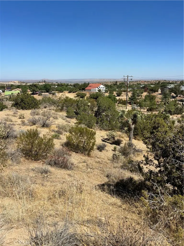 0 Alaga, Pearblossom, CA 93553 - #2