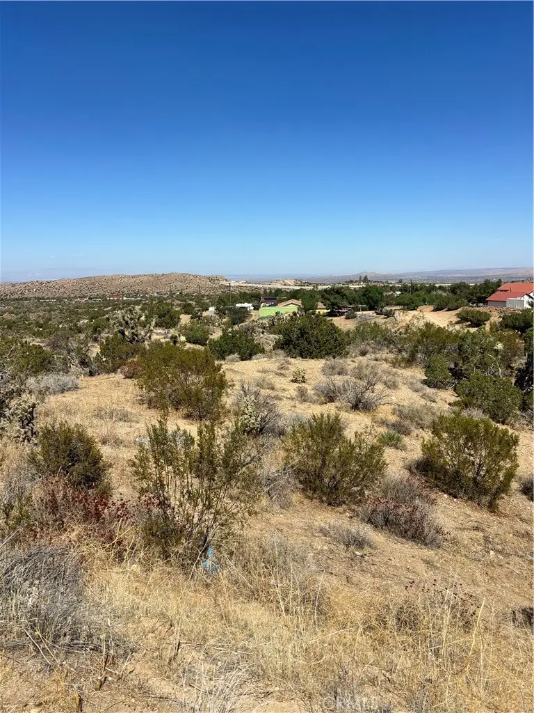 0 Alaga, Pearblossom, CA 93553 - #3