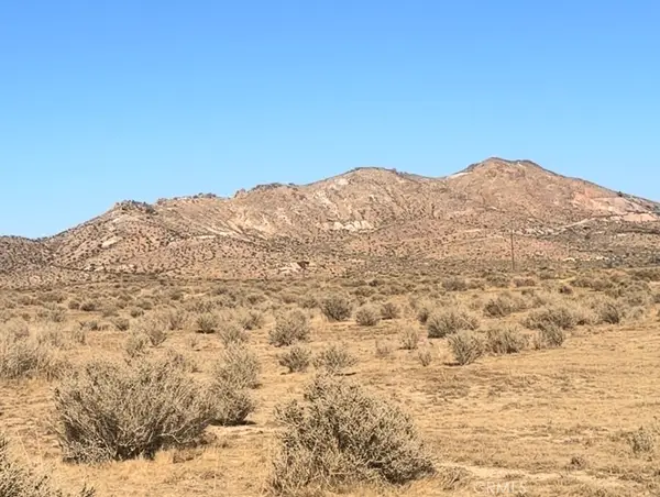 0 Felsite Avenue, Rosamond, CA 93560