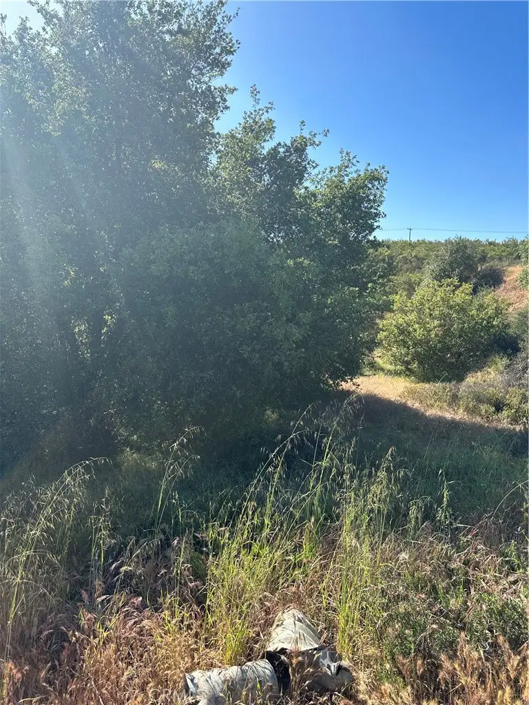 0 Sage & Red Mountain Road, Hemet, CA 92544 - Image #3