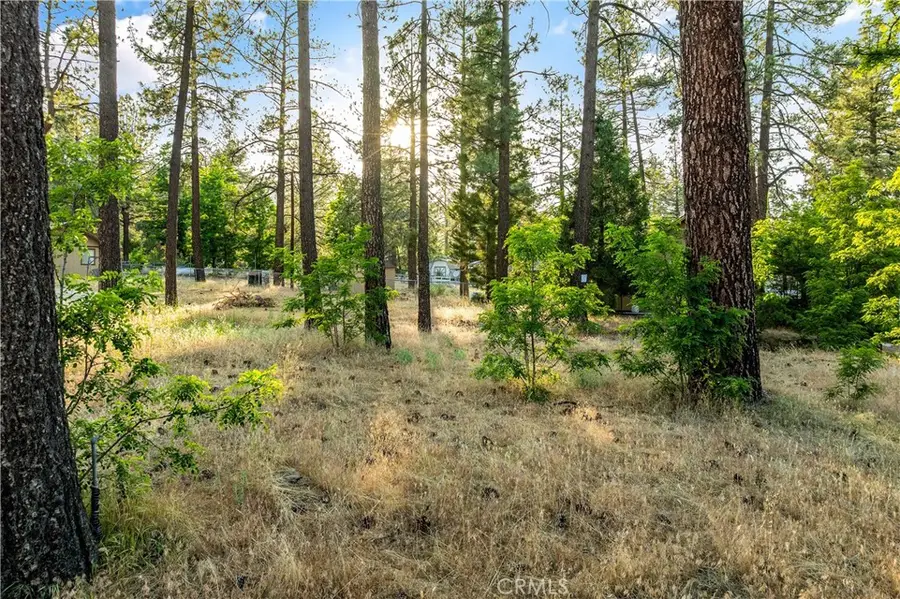 59485 State Highway 74, Mountain Center, CA 92561 - Image #3