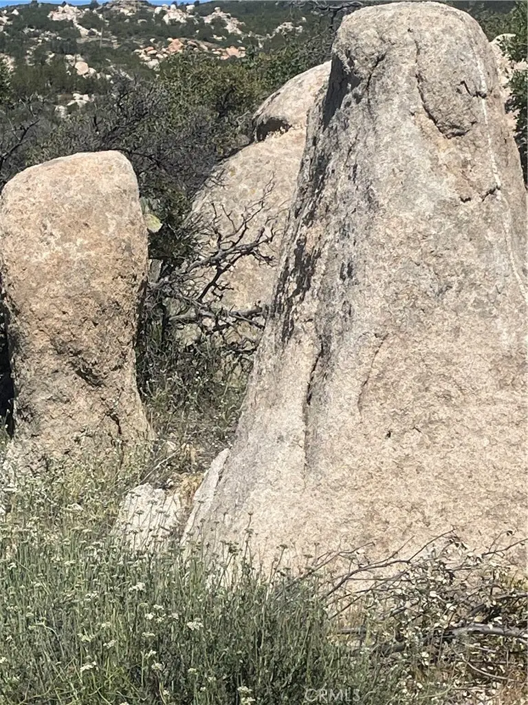 33 Sweetbush, Anza, CA 92539 - #1