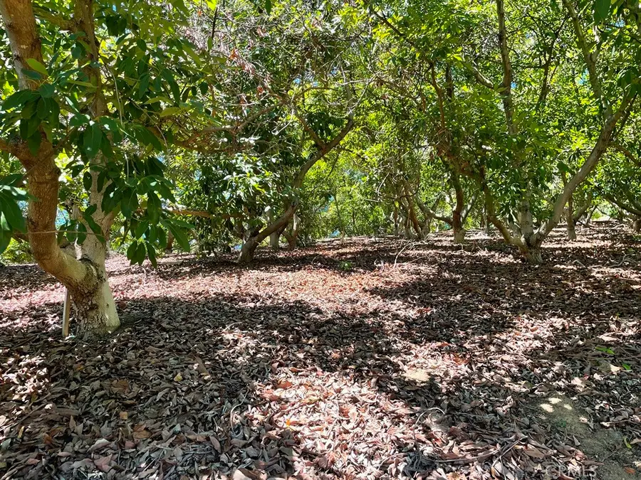 2 Via Vaquero, Temecula, CA 92590 - Image #3