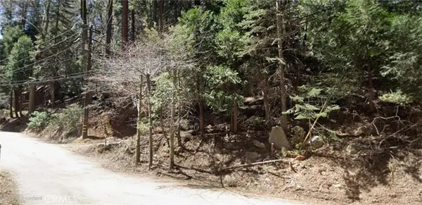 0 Community Drive, Lake Arrowhead, CA 92352
