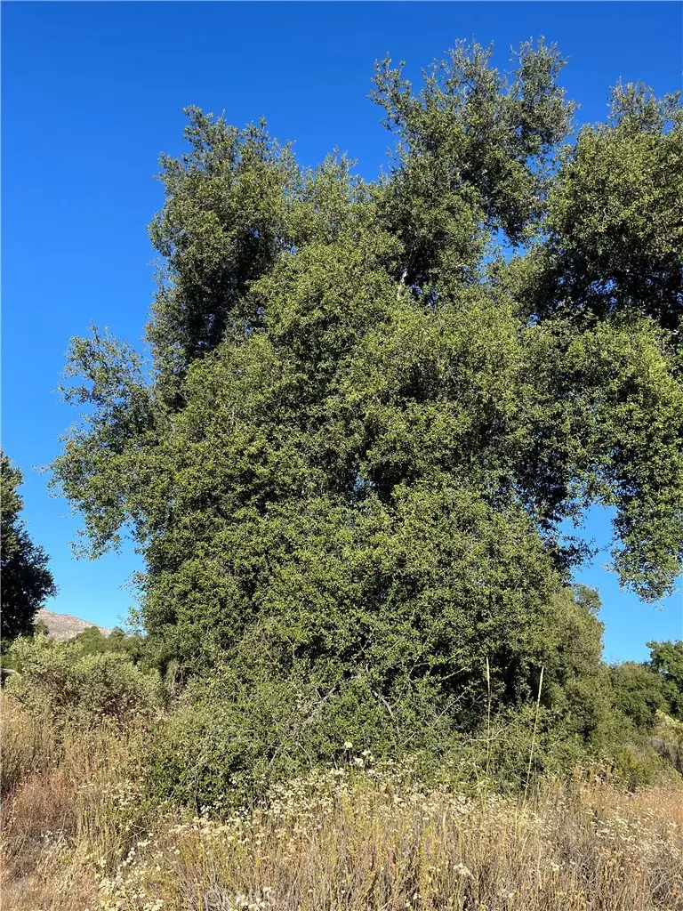 35250 Willow Creek Road, Hemet, CA 92544 - Image #2