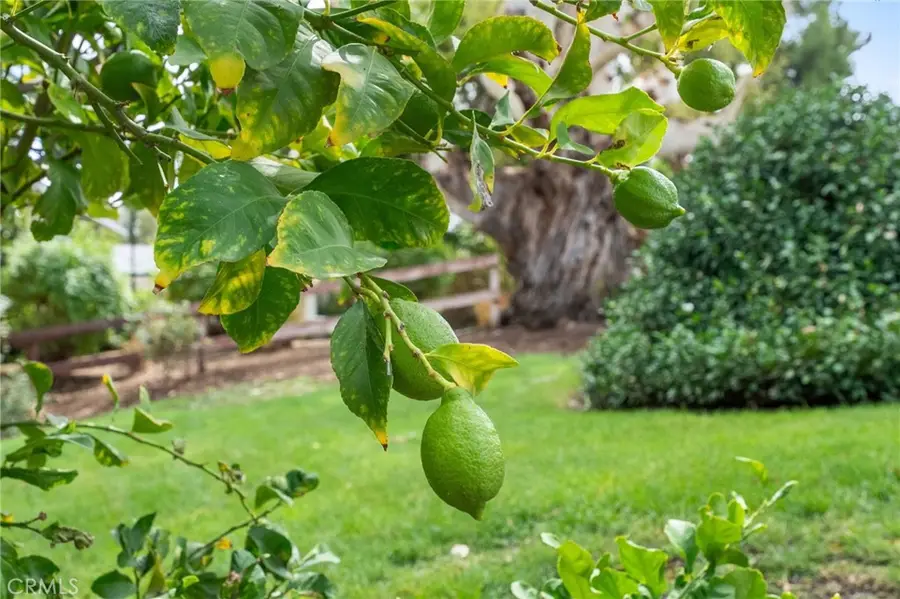 41070 Avenida Verde, Temecula, CA 92591 - Image #3