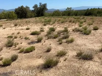 19 Higgins Road, Anza, CA 92539 - #2