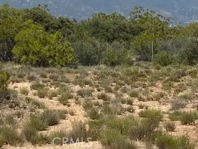 19 Higgins Road, Anza, CA 92539 - #3