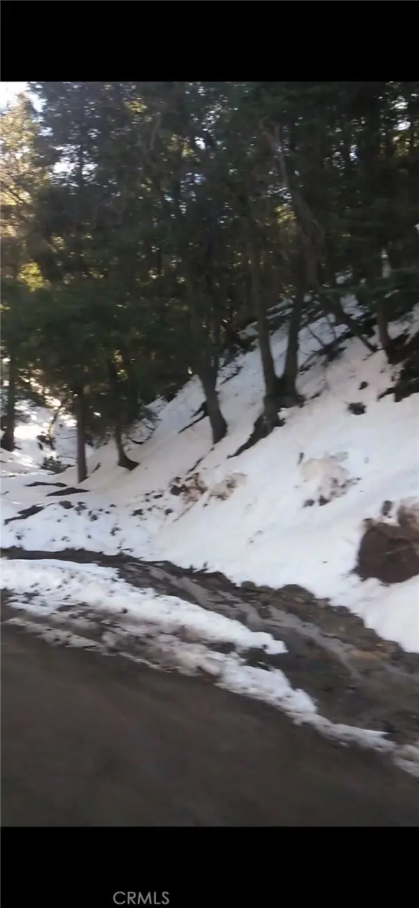 0 Saxon, Crestline, CA 92325 - Image #3