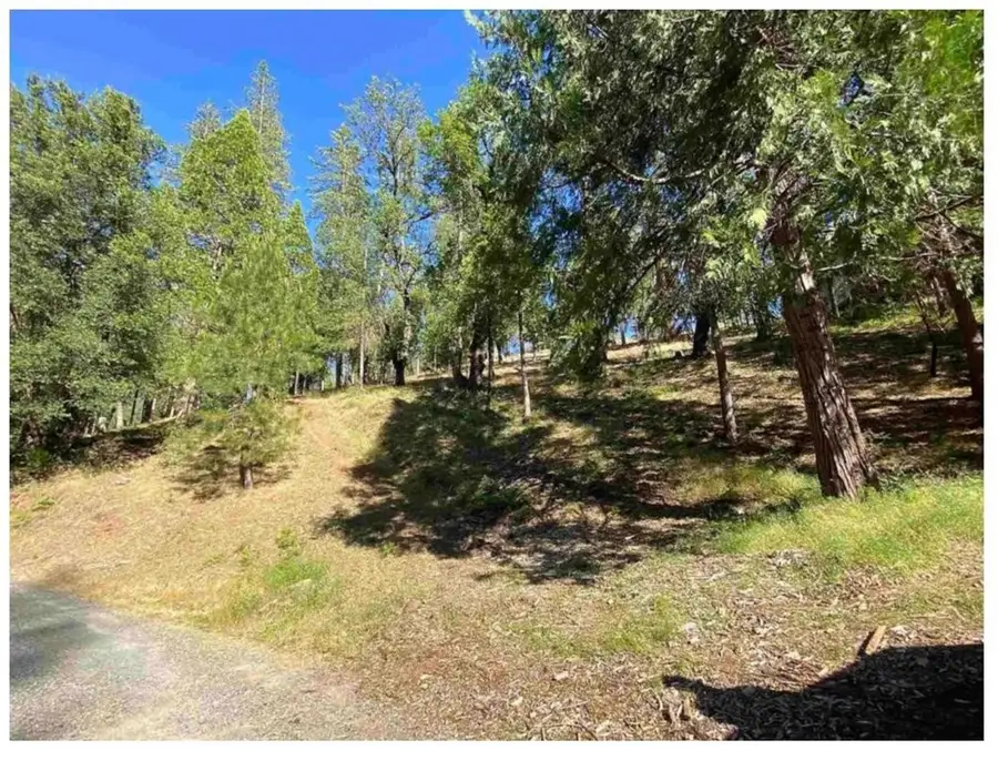 0 Pine Mountain Drive, Groveland, CA 95321 - #3