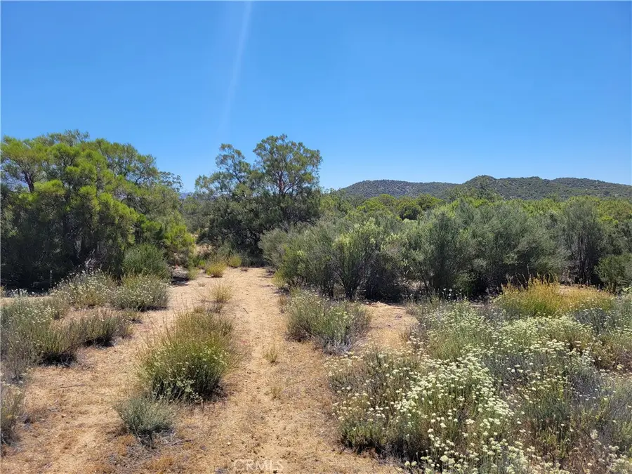 0 Terwilliger, Anza, CA 92539 - #3