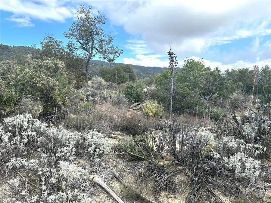 0 Oak Road, Anza, CA 92539 - #3