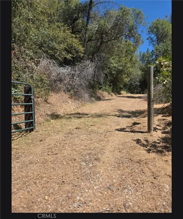 1371 Moccasin Trail, Placerville, CA 95667