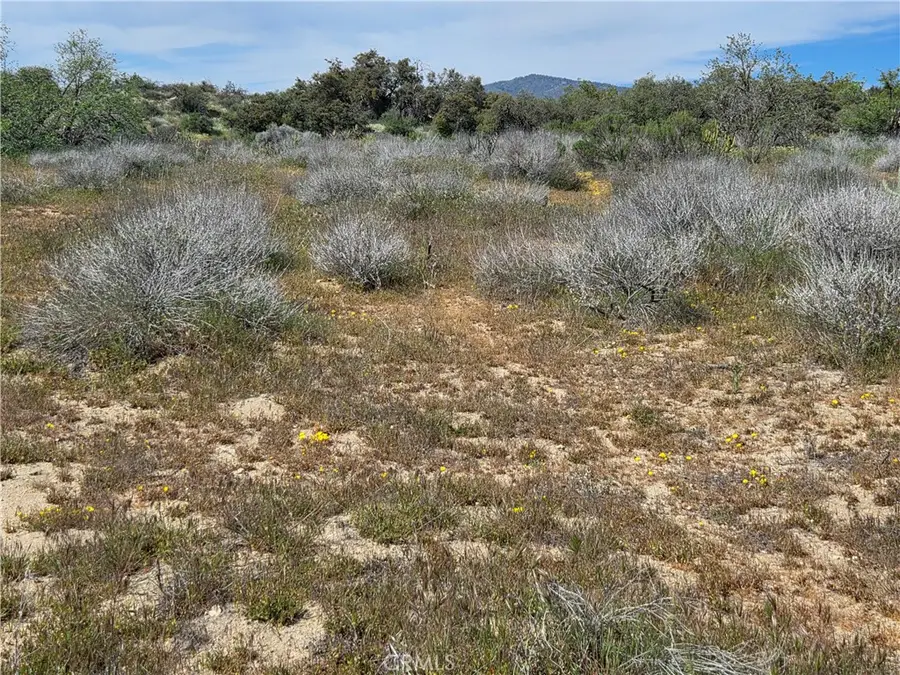 4 Fletcher, Anza, CA 92539 - #2
