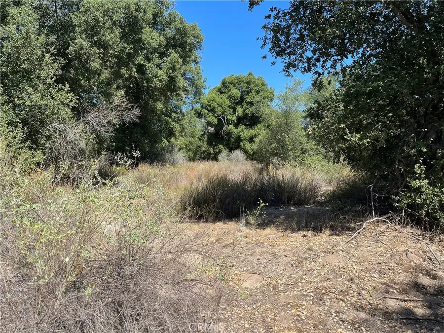 35010 Willow Creek Rd., Hemet, CA 92544 - #2