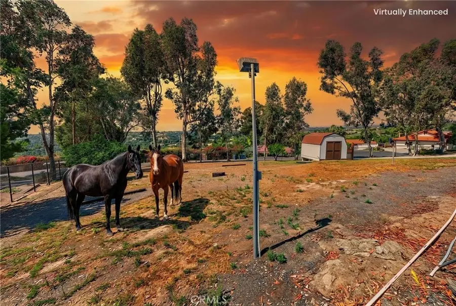 1638 Scooter Lane, Fallbrook, CA 92028 - #3