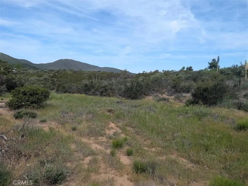 37120 Woodview, Anza, CA 92539 - #1