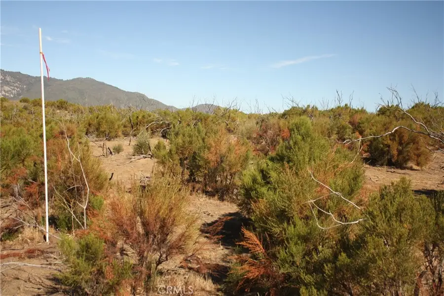 0 Howard Road, Anza, CA 92539 - #3