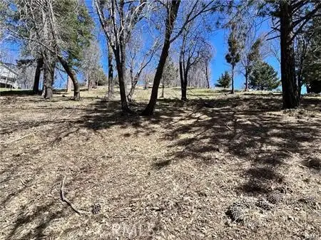 41 Fredalba Road, Running Springs, CA 92382 - #2