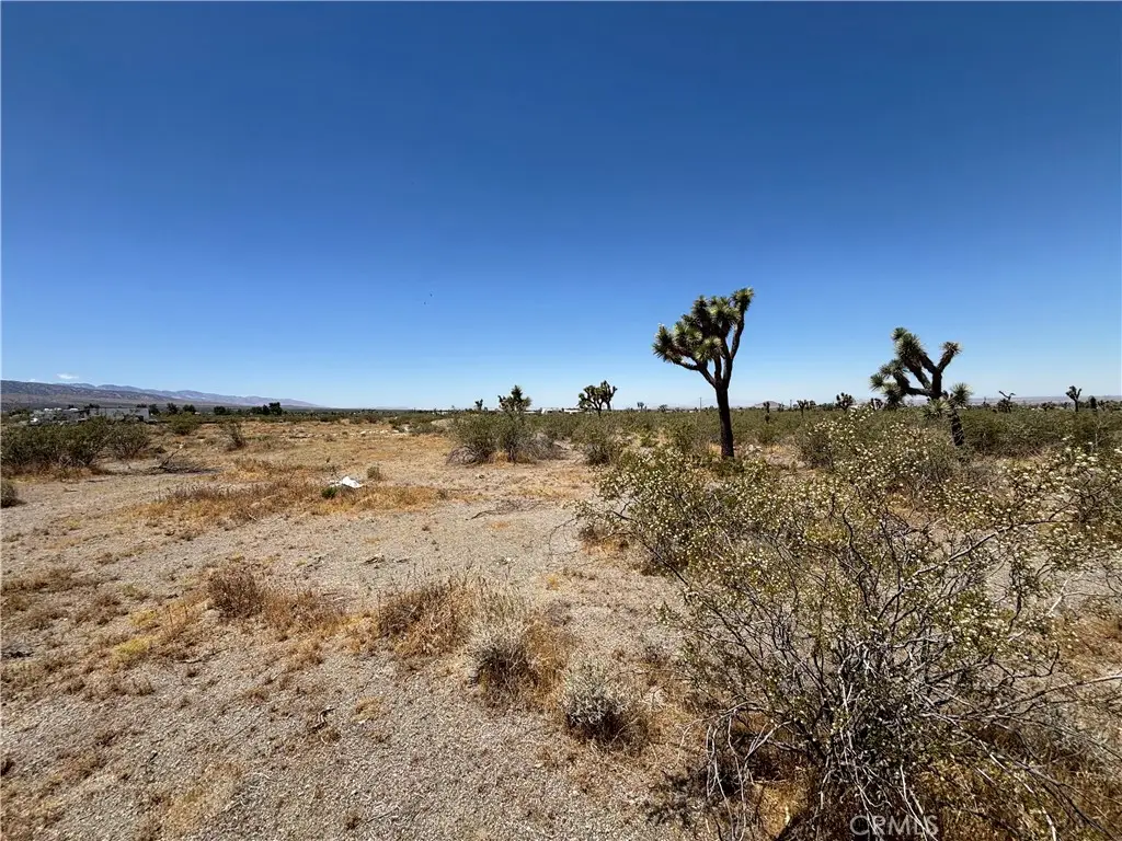 0 Danbury Road, Pinon Hills, CA 92372 - #1