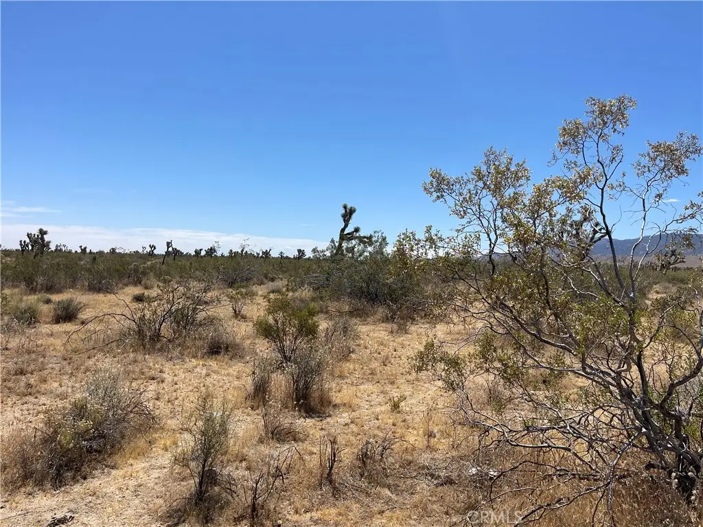 0 213th, Llano, CA 93544 - #1