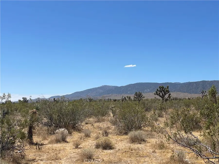0 213th, Llano, CA 93544 - #2