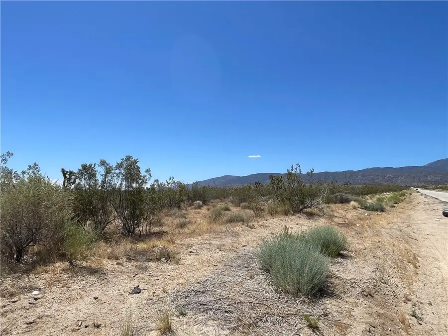 0 213th, Llano, CA 93544 - #3