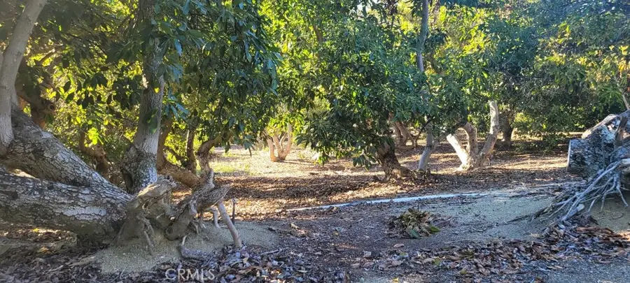 16 Camaron, Temecula, CA 92590 - #3