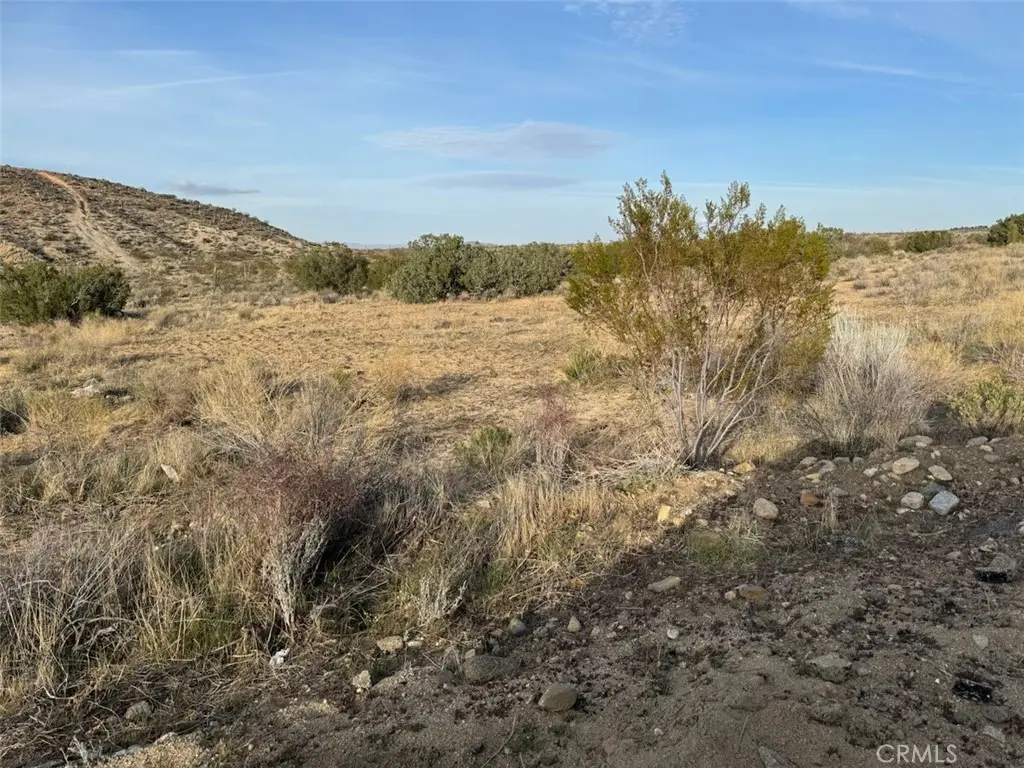 0 Valyermo, Pearblossom, CA 93553 - #1