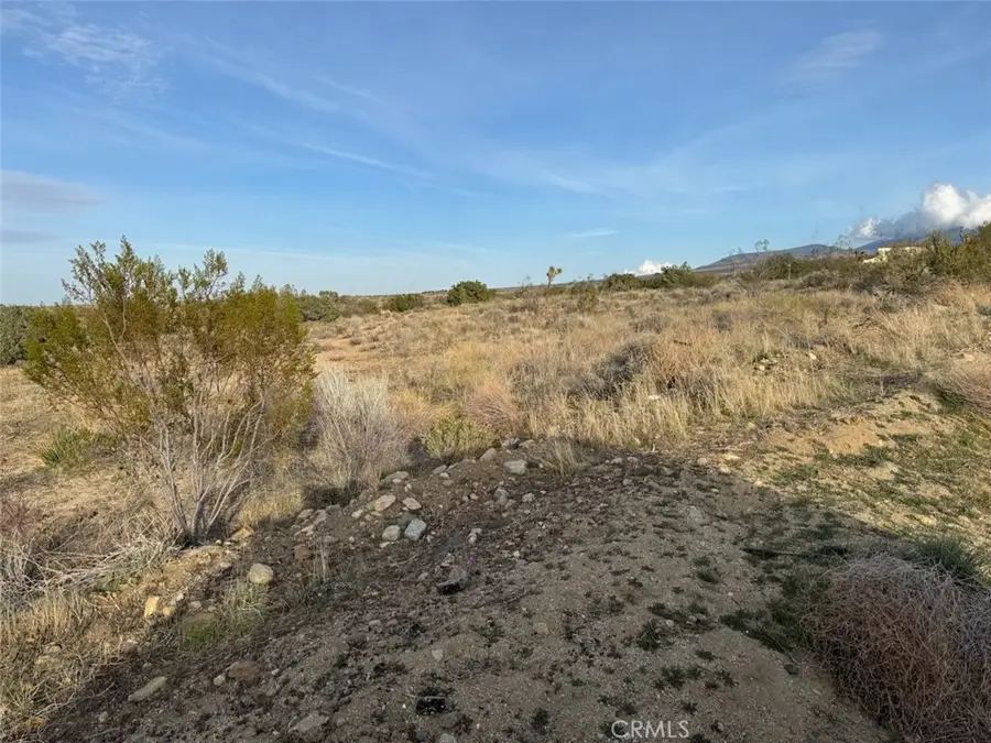 0 Valyermo, Pearblossom, CA 93553 - #2