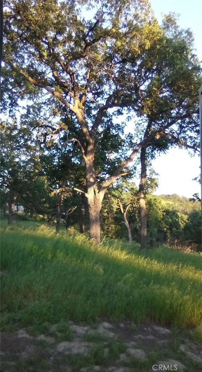 17065 Fawn Lane, Corning, CA 96021 - Image #2