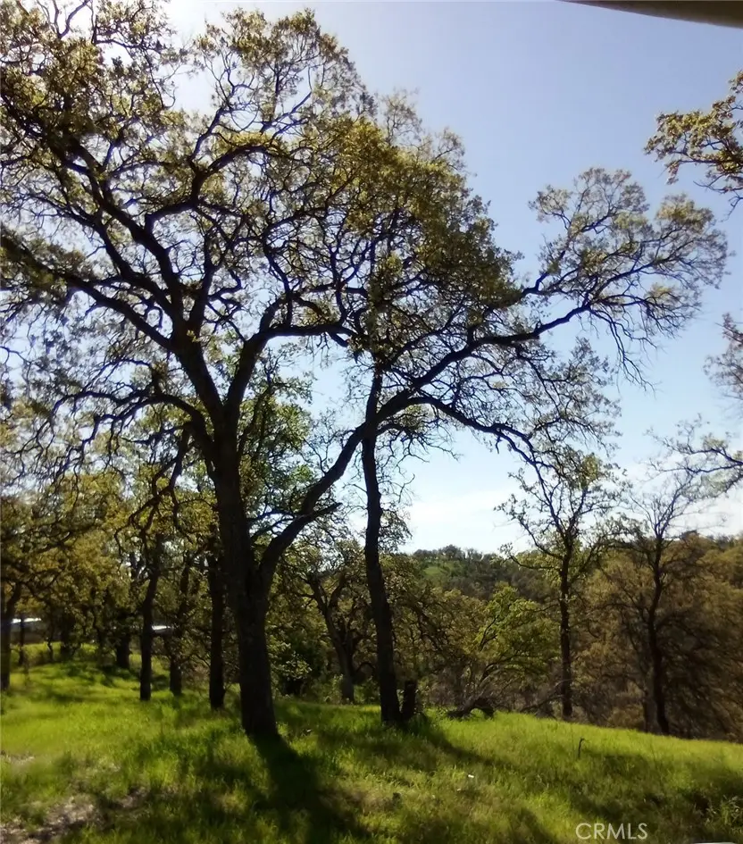 17065 Fawn Lane, Corning, CA 96021 - Image #3