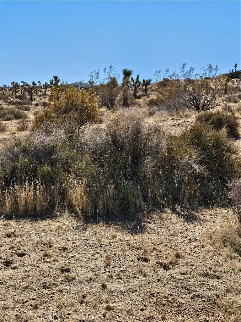 0 Del Monte, Yucca Valley, CA 92284 - Image #2