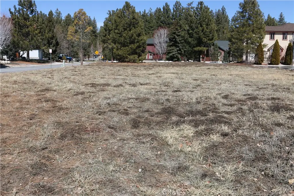 275 Meadow Circle N, Big Bear Lake, CA 92315 - #1