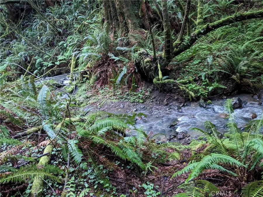 203 Pine Lane, Carlotta, CA 95528 - Image #2