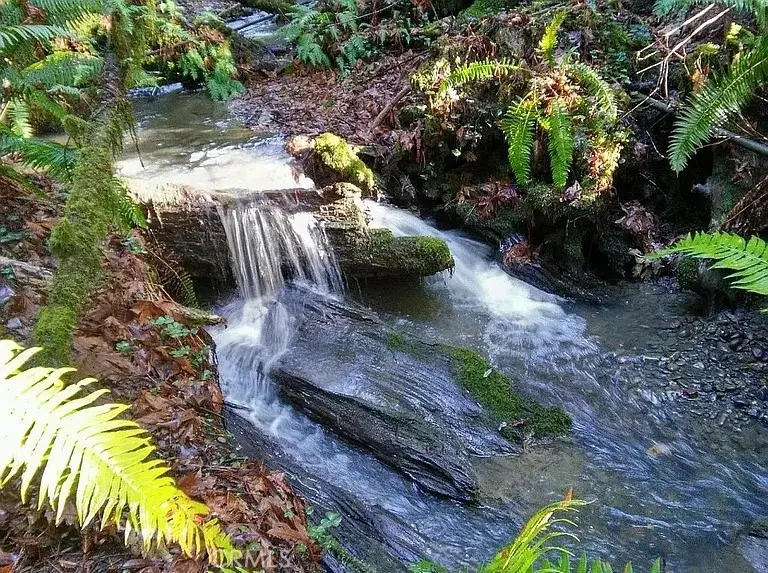 203 Pine Lane, Carlotta, CA 95528 - Image #3