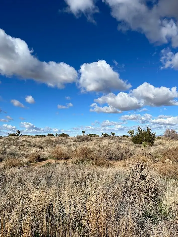 3033 Arcadia, Phelan, CA 92371 - #1