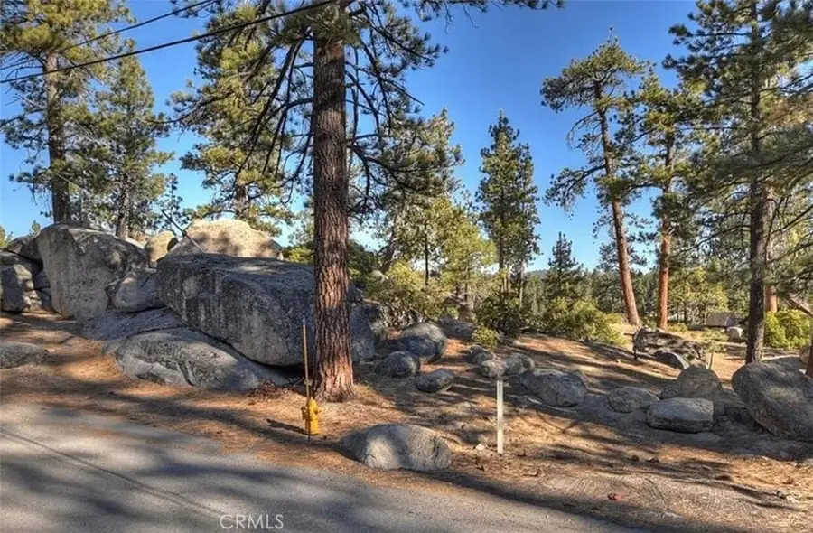 831 Cove Drive, Big Bear Lake, CA 92315 - #3