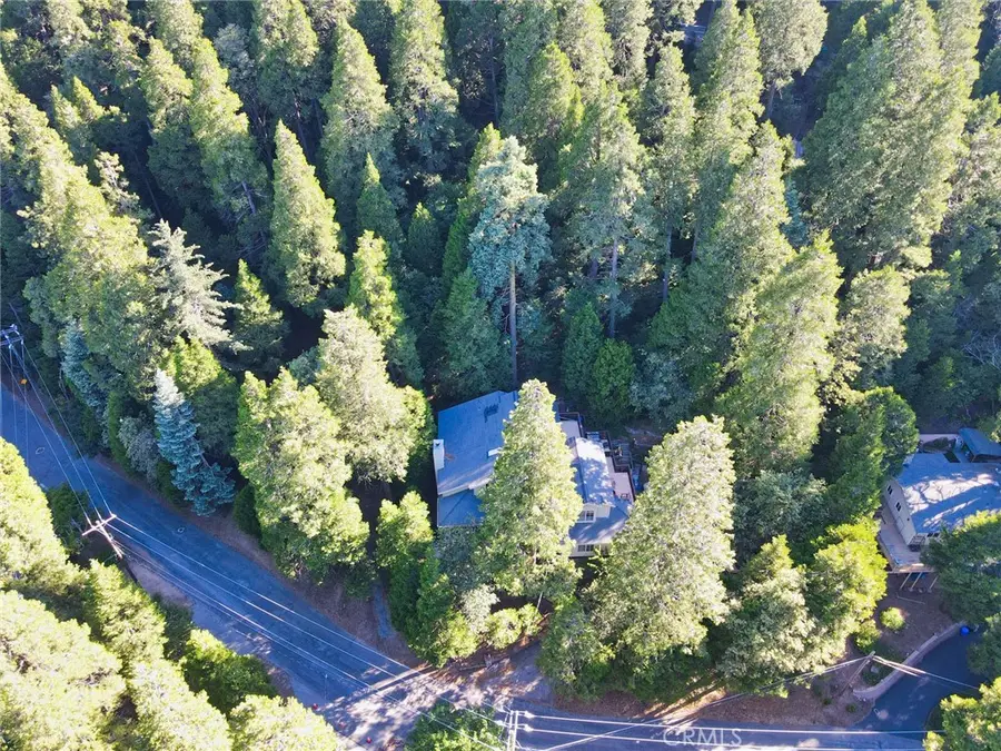 23891 Lakeview, Crestline, CA 92325 - #2