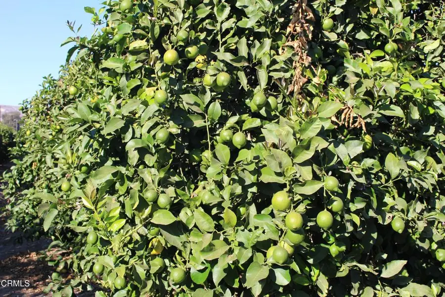 0 Price Road, Somis, CA 93066 - #3