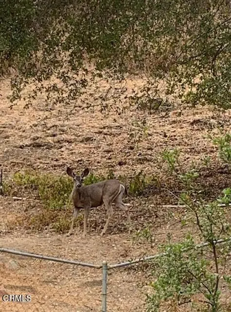 27326 Oak Summit Road, Agoura Hills, CA 91301 - Image #1