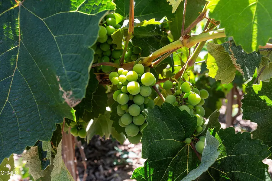 12127 Presilla Road, Camarillo, CA 93012 - #2