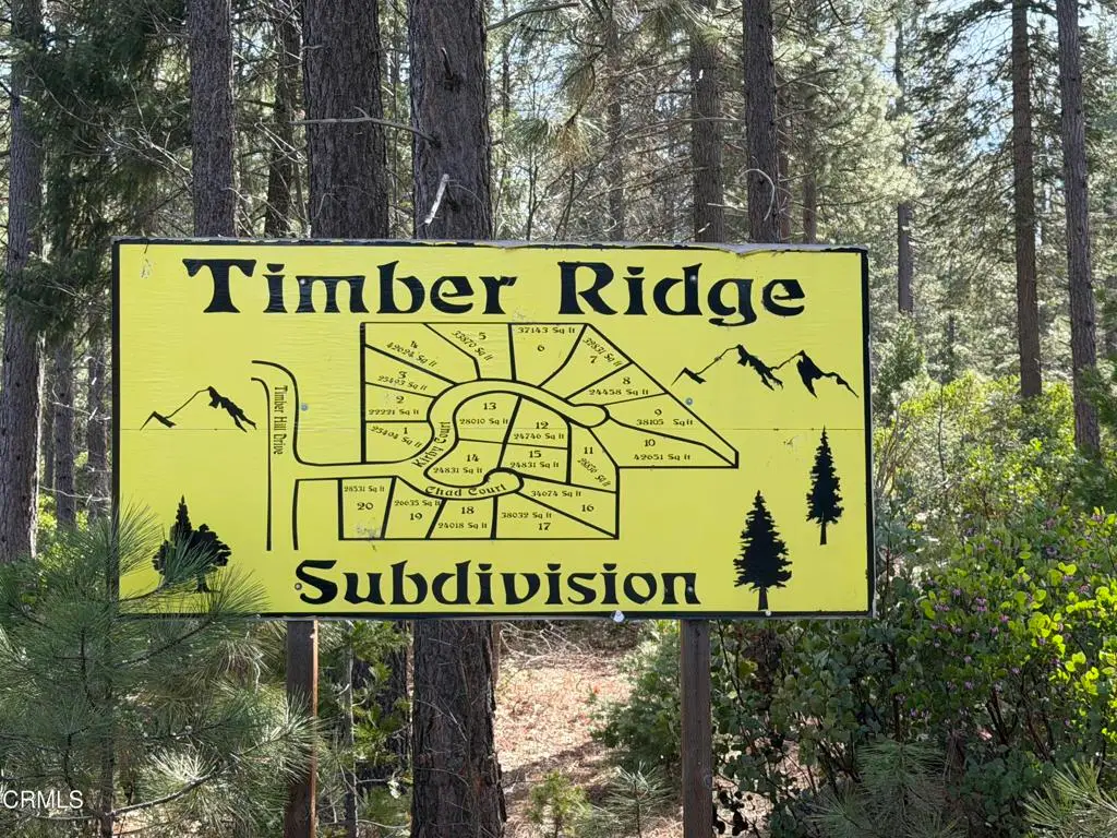 1 Kirby Court, Burney, CA 96013 - #1
