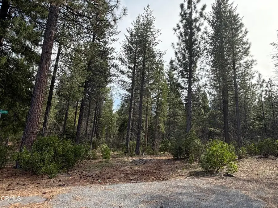 1 Kirby Court, Burney, CA 96013 - #3